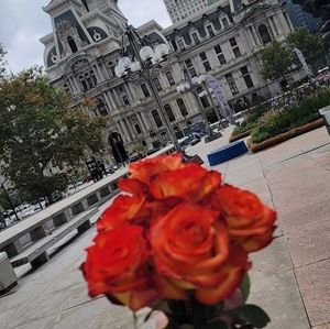 Meet your Posher, Dylan